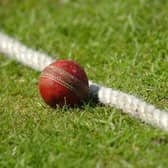 Cricket report