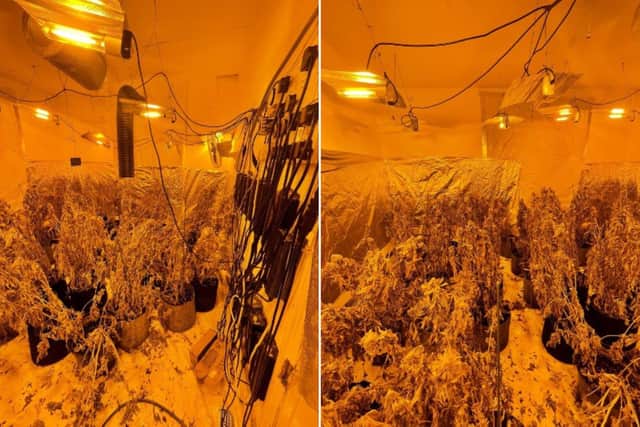 Thousands of pounds worth of equipment and plants were seized during the raid. (Photo: North Yorkshire Police)