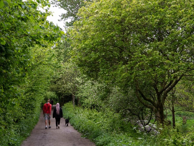 If a day at the beach isn’t for you, the other top dog-friendly places to visit for a day out are...
1 Oakwell Hall and Country Park, Birstall, West Yorkshire.
2 Guisborough Forest, Guisborough, North Yorkshire.
3 RSPB St Aidan’s Nature Park, Leeds, West Yorkshire.