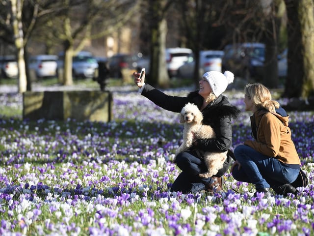 Canine Cottages have also released the Dog-Friendly Index, a handy tool where you will find these and even more dog-friendly places as recommended by TripAdvisor reviewers. Covering the entirety of the UK, and featuring helpful filters for finding your perfect kind of day out or place to visit, the
Dog-Friendly Index is a must-have tool for dog owners.
Each place that has been featured has also been given a useful paw rating out of five, with only places rated three paws or higher featuring in the tool.
Shannon Keary, digital PR Manager at Canine Cottages, said: “With so many more people looking to explore what’s on their own doorstep with their dogs this summer, it’s fantastic to see the sheer number and diversity of places that welcome dogs across the country. Hopefully, this can only continue to grow.
“We hope that our DogFriendly Index tool helps to highlight the top spots for dog
owners to visit near them, as well as highlight some hidden gems they may not have been aware of.”
