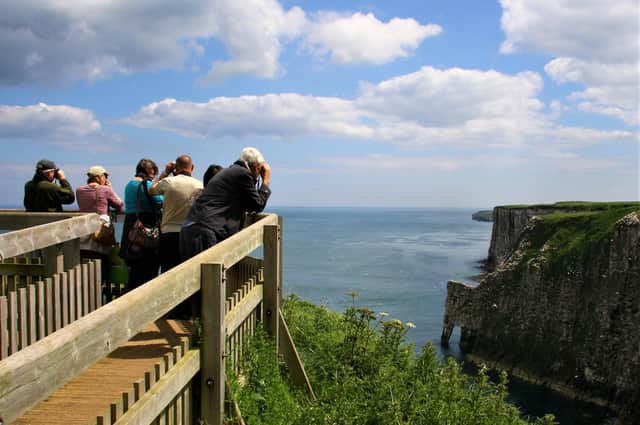 RSPB Bempton Cliffs was named as one of the top nature reserves to visit. Photo courtesy of the RSPB