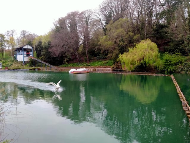 Swan skating in at Open Air Theatre.