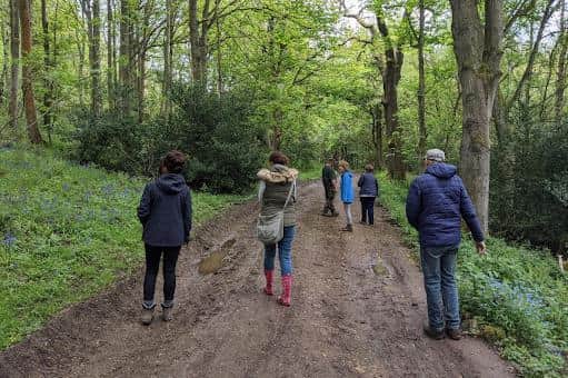 A host of events are available this summer at Raincliffe Woods. (Photo: Duncan McNeil)