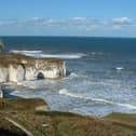 Flamborough Outer Headland is a great place to see puffins nesting on the chalk cliffs. Photo submitted