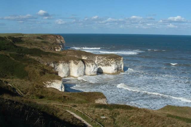 Flamborough Outer Headland is a great place to see puffins nesting on the chalk cliffs. Photo submitted