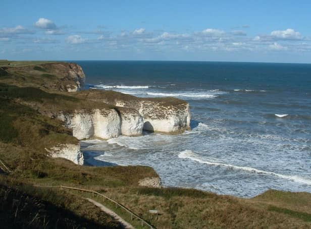 Flamborough Outer Headland is a great place to see puffins nesting on the chalk cliffs. Photo submitted