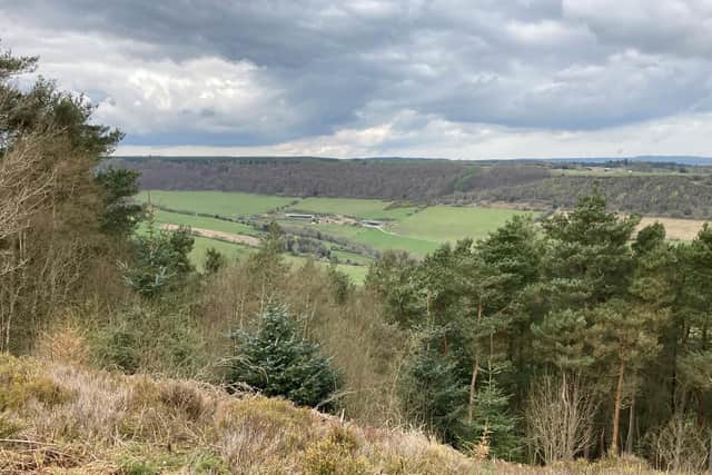 View from Wykeham Forest, where one of the wells could be used to source renewable energy.
