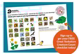 From noon  Saturday  June 18 until noon Sunday June 19, Yorkshire Wildlife Trust is asking Yorkshire folk to spot, count and record the creatures in their outdoor spaces
