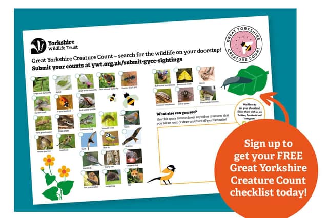 From noon  Saturday  June 18 until noon Sunday June 19, Yorkshire Wildlife Trust is asking Yorkshire folk to spot, count and record the creatures in their outdoor spaces