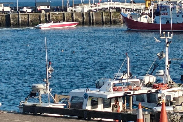 Chilly but nice at the harbour.