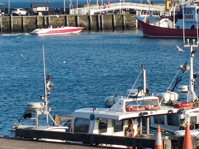 Chilly but nice at the harbour.