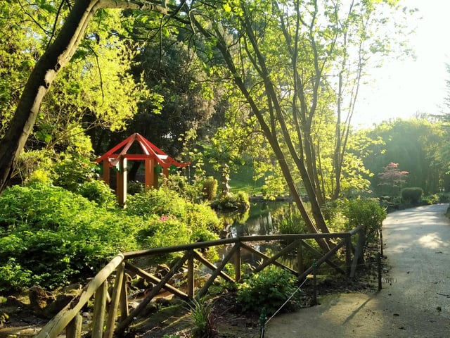 A walk in the 'Park'