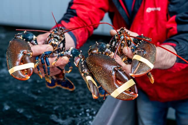 A report submitted to the committee stated 300 tonnes of lobster worth more than £4m was brought to shore in Bridlington in 2019.