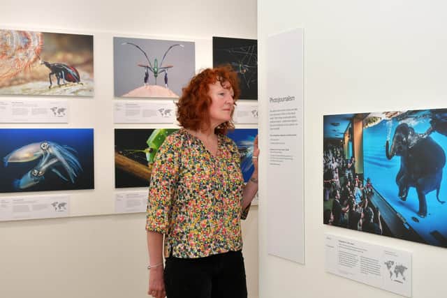 Wildlife Photographer of the Year is the most prestigious photography event of its kind, providing a global platform that showcases the natural world’s most astonishing and challenging sights for over 55 years. Photo submitted