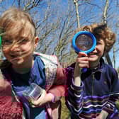 Wildlife Watch: We are all being encouraged to take part in Yorkshire Wildlife Trust‘s Great Yorkshire Creature Count.