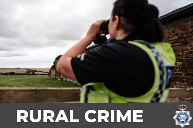 Humberside Police officers are appealing for information after a badger was found badly injured near Skipsea. Photo courtesy of Humberside Police