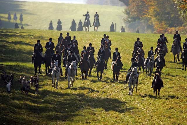 Trail hunting was allowed in the Hunting Act of 2004. Photo by Matt Cardy/Getty Images.