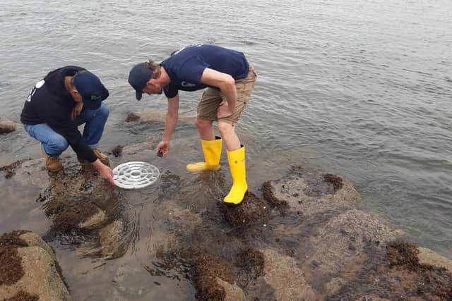 James Cole and Joe Redfern release the first batch of juvenile lobsters off Saltwick, near Whitby.