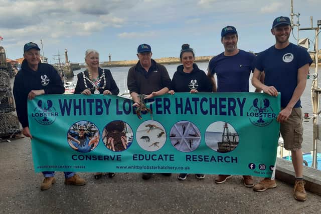 From left: Fisherman James Cole, Whitby Mayor Cllr Linda Wild, hatchery trustee Mike Russell, Natasha Roe-Smith, managing partner at Cod Roe, hatchery trustee and lobster merchant Terry Pearson and hatchery general manager Joe Redfern.