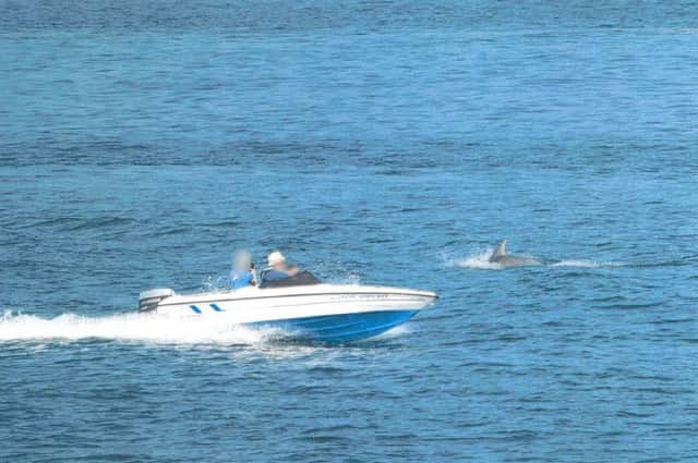 Christopher Barker was seen to be 'corralling' dolphins in Scarborough's South Bay