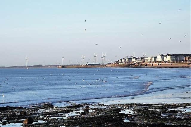 Alan Flynn captures a flock of seagulls of the sea with Bridlington in the background.