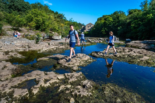 Situated on the River Ure in Wensleydale in the Yorkshire Dales National Park, the falls are a short walk from Aysgarth Fall National Park Centre, many great walks extending from here.