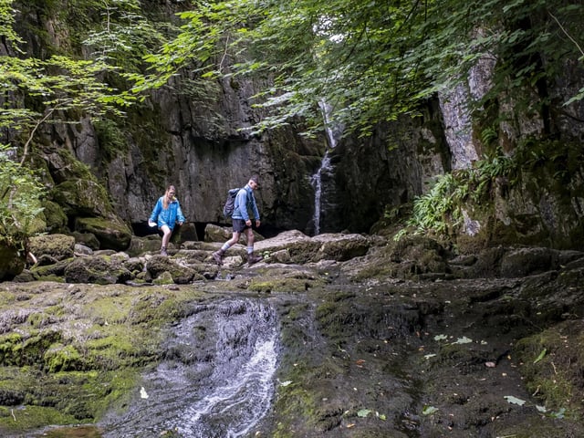 The village of Stainforth in the Yorkshire Dales has Stainforth Force to the east, where the River Ribble tumbles over a series of cascades where salmon can often be seen leaping.
Catrigg Force, just west of Stainforth, is hidden in a secluded wood and boasts a drop of 20 feet.
