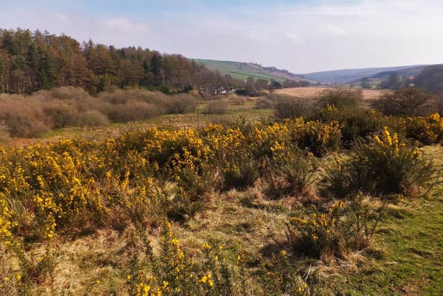 A fire alert has been issued for The North York Moors National Park.