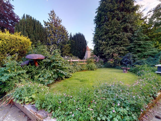 A section of lawn surrounded by established trees, plants and bushes.