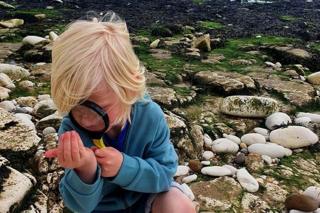 People can try their hand at beachcombing, then create some interesting art from what they find, and discover more about the amazing beach they are on and why it is a ‘No Take Zone’. Photo submitted