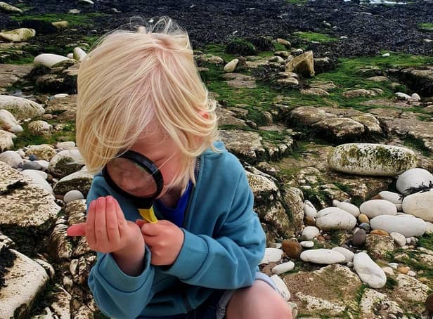 People can try their hand at beachcombing, then create some interesting art from what they find, and discover more about the amazing beach they are on and why it is a ‘No Take Zone’. Photo submitted