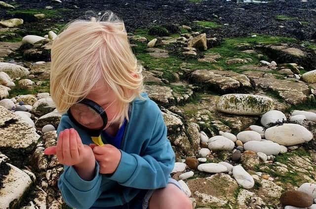 People can try their hand at beachcombing, then create some interesting art from what they find, and discover more about the amazing beach they are on and why it is a ‘No Take Zone’. Photo submitted