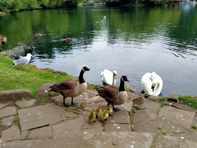 Proud parents in the Park.