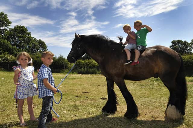 The horse fair will be located in the same field as used for previous fairs between Seamer and Crossgates.