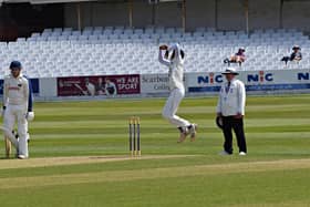 Josh Branch bagged two wickets for Folkton & Flixton