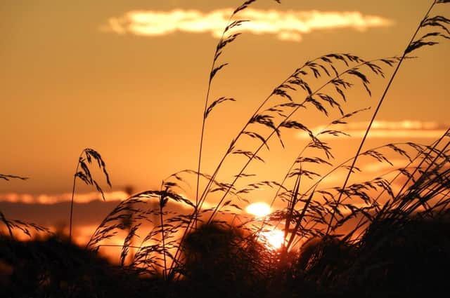 This excellent photo, taken at North Landing by John Shentall, features a glorious sun-soaked scene.