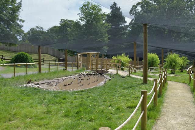 Marie Gascoigne, general manager at Sewerby Hall and Gardens, said : “We are delighted to be able to open this new aviary." Photo submitted