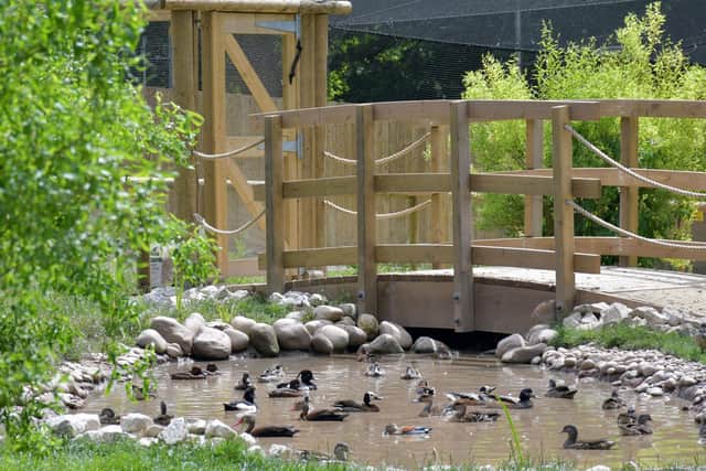 Housing 14 species, the new aviary replaces an area that had seen better times.