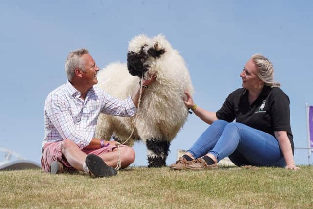 Jules Hudson and Lucy Atkinson with a Valais Blacknose Sheep