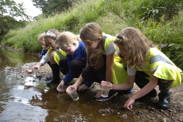 Children from Castleton Primary School release young salmon into the river.