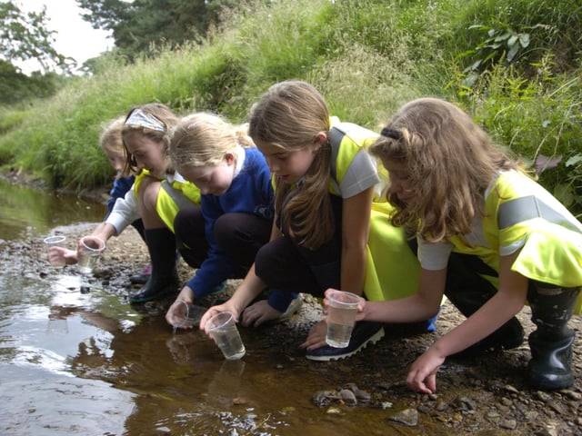 Children from Castleton Primary School release young salmon into the river.