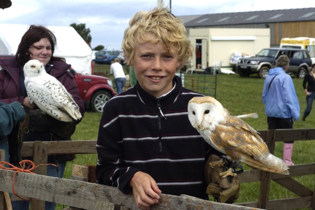 At Sneaton and Hawsker Show Luke Halley from Whitby holds Barney the barn owl.