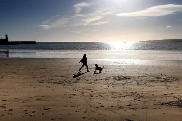 Scarborough RSPCA have shared advice on how to keep pets and wildlife cool, including horses, chickens and guinea pigs.