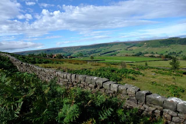 The North York Moors National Park Authority is offering grants towards the creation or renovation of hedgerows and the restoration of dry stone walls. Photo submitted