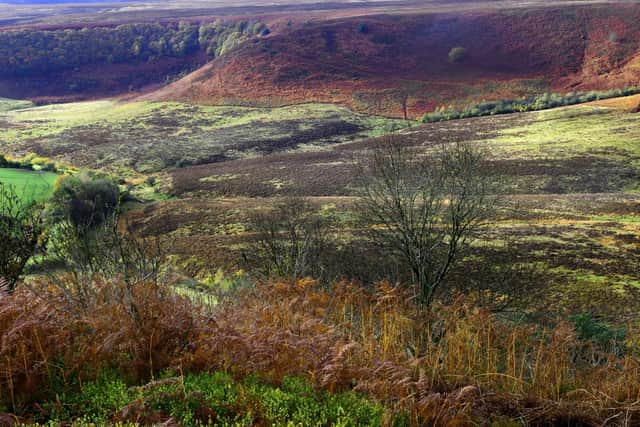 Fire risks are causing a concern on the North York Moors National Park.