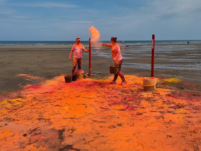 An explosion of orange!