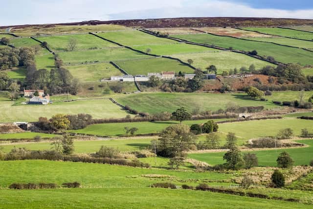 View of Houlsyke, from Danby Castle.