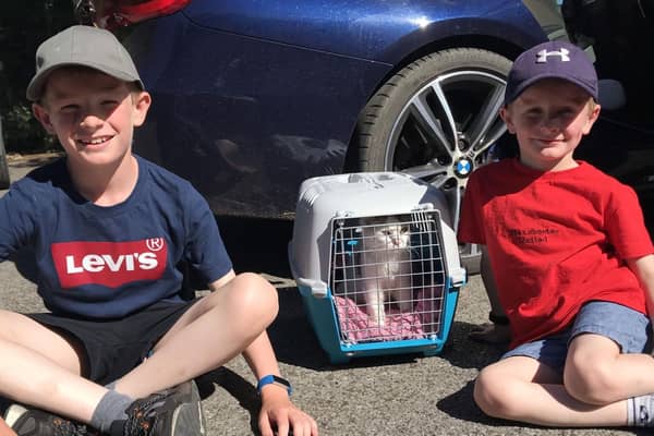 Loki the cat reunited with owners Ben, 10, and George, six. (Photo: RSPCA)