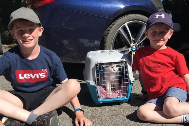 Loki the cat reunited with owners Ben, 10, and George, six. (Photo: RSPCA)