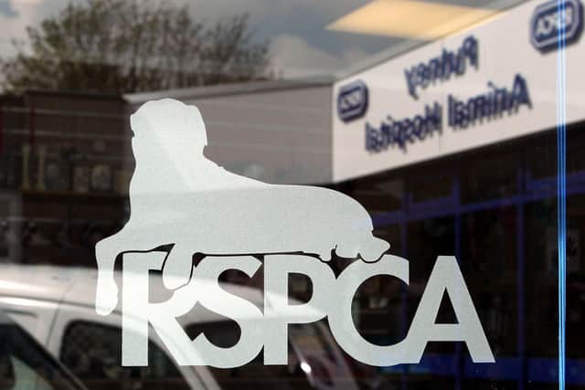 The RSPCA said it is a “sad reality” that the charity deals with animal cruelty on a daily basis. Photo: PA Images